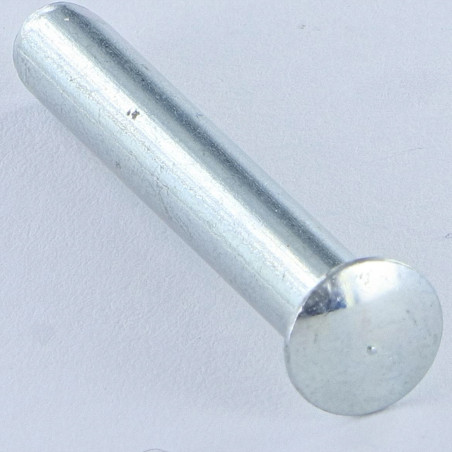 1 x Massiv nitte Linseformet hoved 3,65X4,5 Cylindrisk ende Cylindrisk ende elforzinket stål