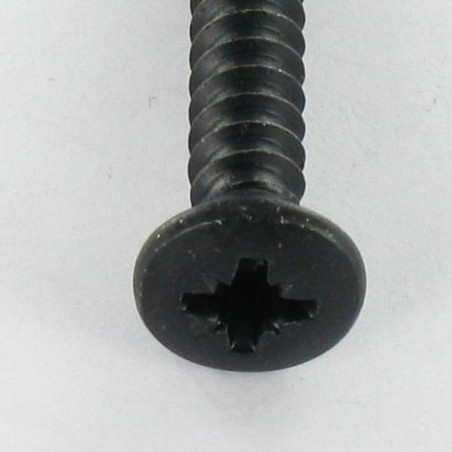 1 x Gevindvalse skrue forsænket pan hoved Pozi 4,8X38 sort galvaniseret