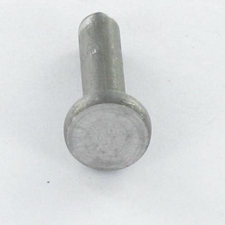 1 x Massiv nitte fladt hoved 6X20 ALUA5