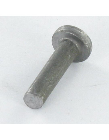 1 x Massiv nitte fladt hoved 6X20 ALUA5
