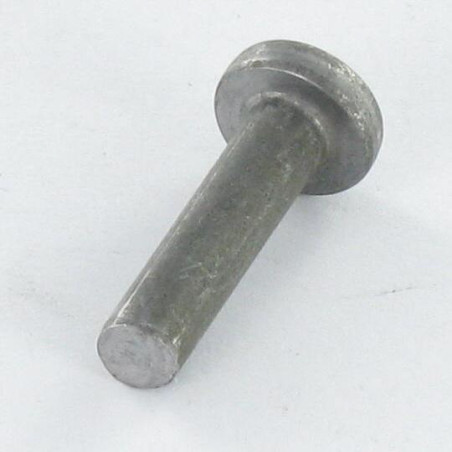 1 x Massiv nitte fladt hoved 6X20 ALUA5