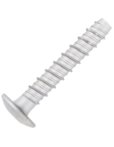 1 x Skrue til beton hoved Pan hoved TORX T30...