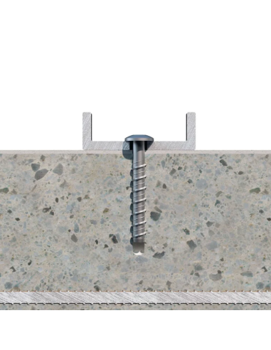 1 x Skrue til beton hoved Pan hoved TORX T30...