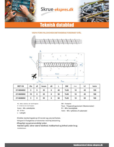 1 x Skrue til beton hoved Pan hoved TORX T30...