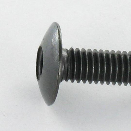 1 x Skrue kopskrue M5X10 Sekskantet fatning 3 sort galvaniseret