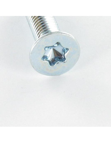 1 x Vis m-hastighed forsænket hoved T30 M6X25...