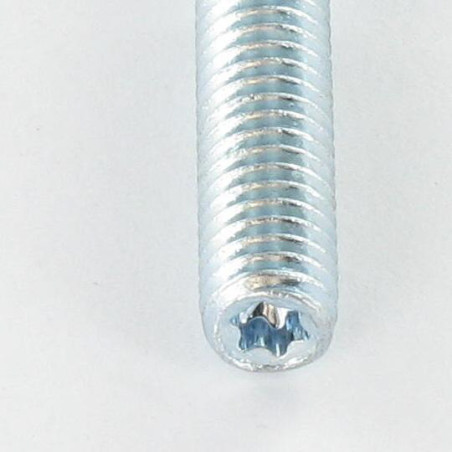 1 x Stift Fischer STST T25 elforzinket stål 10X100