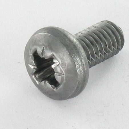 1 x Vis m-hastighed bred kuppelformet hoved Pozi PZ9 M6X12 Rå stål