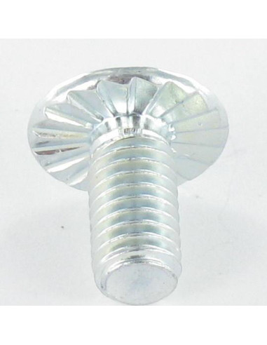 1 x Skrue kopskrue Split POZI M6X12 med takker...