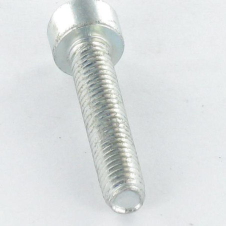 1 x Elvskærende skrue panhoved M6X50 T30 elforzinket stål
