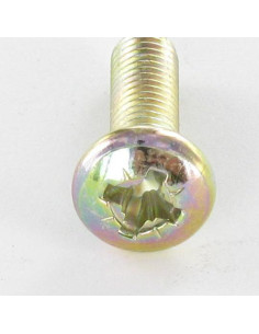 Vis m-hastighed bred kuppelformet hoved Pozi PZ8 M5X40... 2