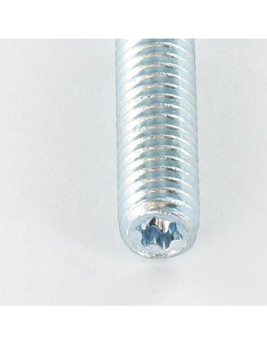 1 x Stift Fischer STST T15 elforzinket stål 6X60