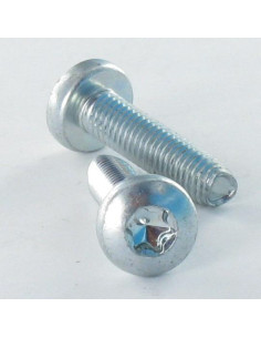 Elvskærende skrue bred kuppelformet hoved M6X25 T30...
