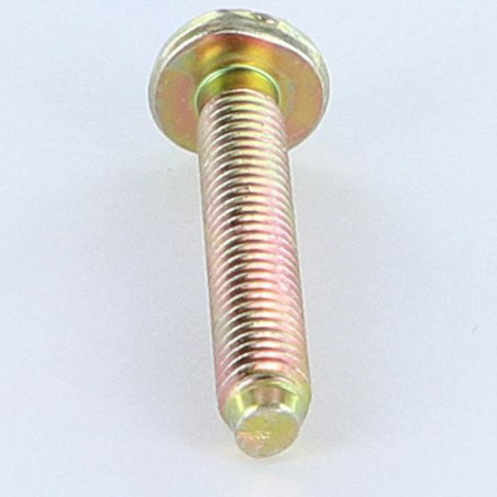 1 x Vis m-hastighed stort cylindrisk pan hoved kærv M6X35 blodtryk gul zink