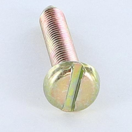 1 x Vis m-hastighed stort cylindrisk pan hoved kærv M6X35 blodtryk gul zink