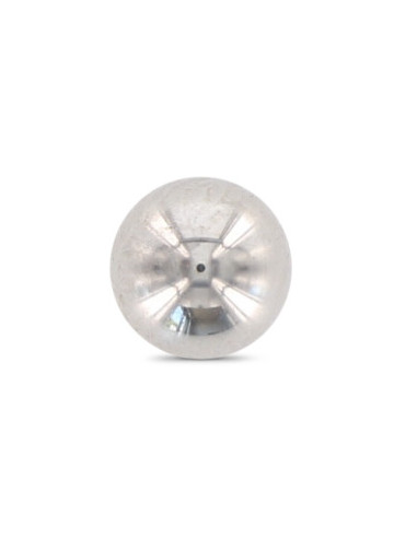 1 x BOLD TYVERISIKRING for Spor SW6 Rustfrit...