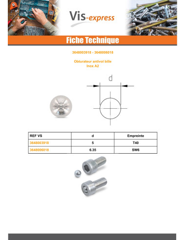 1 x BOLD TYVERISIKRING for Spor SW6 Rustfrit...