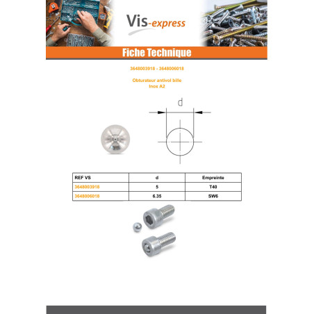 1 x BOLD TYVERISIKRING for Spor SW6 Rustfrit stål A2