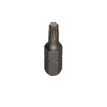 1 x Bit T20 FIZOMAX