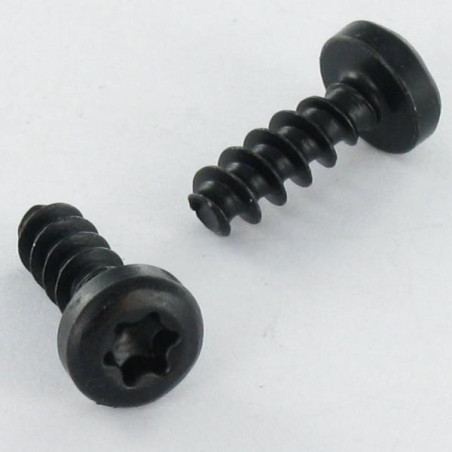 1 x Skrue til plastik panhoved T10 3X10 sort galvaniseret mikroskruer