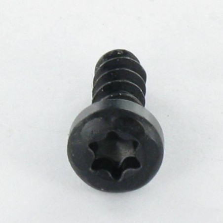 1 x Skrue til plastik panhoved T10 3X10 sort galvaniseret mikroskruer