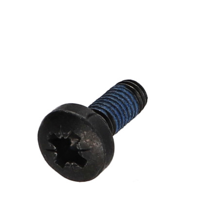 1 x Vis m-hastighed bred kuppelformet hoved Pozi PZ9 M6X12 sort galvaniseret Låsegevind