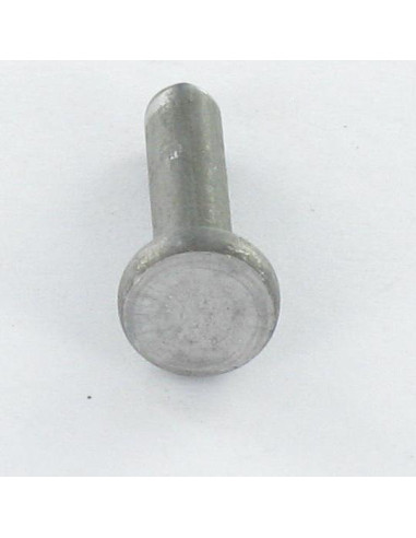 1 x Massiv nitte fladt hoved 6,5X10 elforzinket...