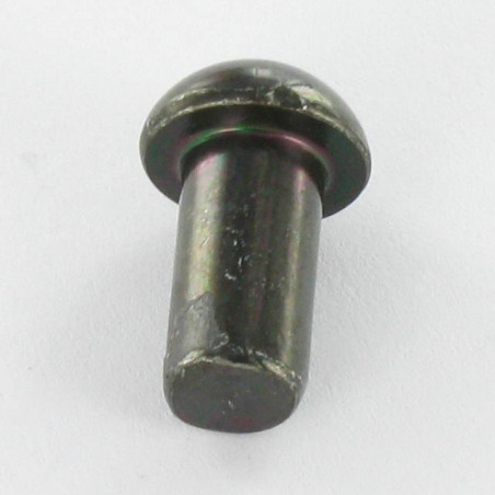 1 x Massiv nitte rundt hoved 6,5X12 sort galvaniseret