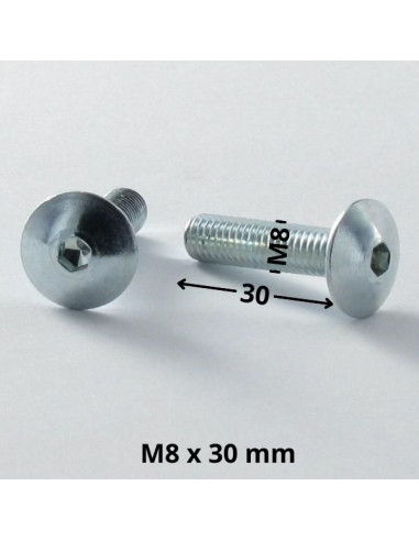 1 x Skrue kopskrue M8X30 Sekskantet fatning 5...
