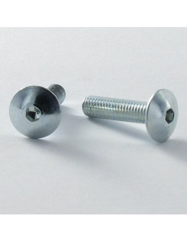 1 x Skrue kopskrue M5X16 Sekskantet fatning 3...