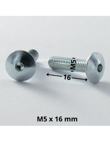 1 x Skrue kopskrue M5X16 Sekskantet fatning 3...