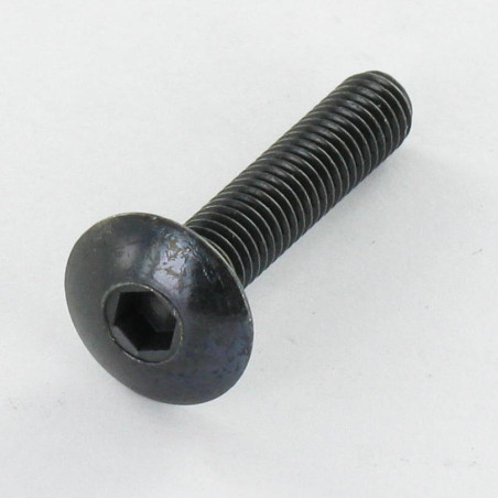 1 x Skrue kopskrue M6X25 Sekskantet fatning 4 sort galvaniseret