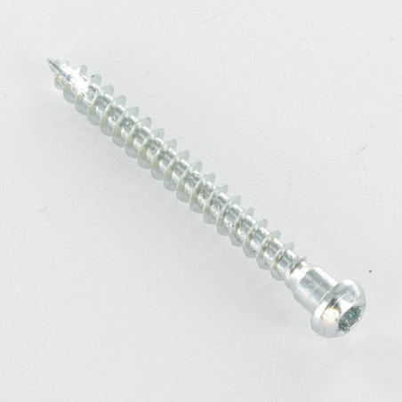 1 x Skrue HARDWARE ANGULAR panhoved T20 spids anti-kløvning type 17 cut elforzinket stål 5X45