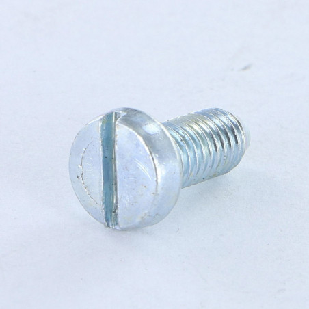1 x Vis m-hastighed stort cylindrisk pan hoved kærv M5X12 blodtryk elforzinket stål