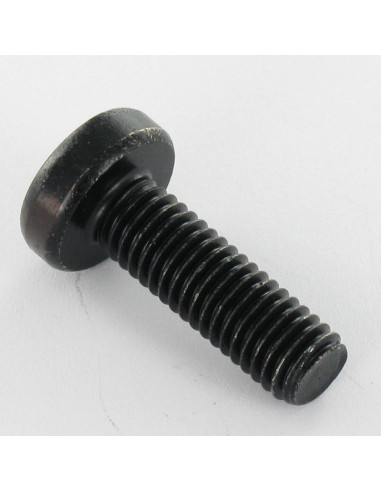 1 x Vis m-hastighed bred kuppelformet hoved T30...