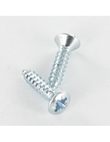1 x Gevindvalse skrue forsænket pan hoved Pozi...