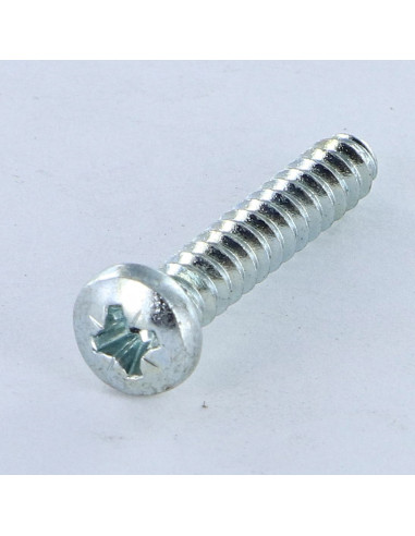 1 x Skrue til plastik panhoved Pozi 4,2X1"...