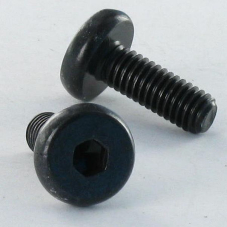 1 x Vis m-hastighed stort cylindrisk pan hoved Sekskantet hul M6X16.5 Sekskantet fatning 4 Fuld trÃ¥d sort galvaniseret