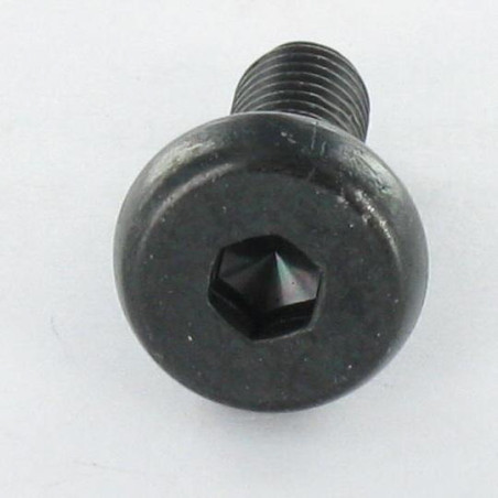 1 x Vis m-hastighed stort cylindrisk pan hoved Sekskantet hul M6X16.5 Sekskantet fatning 4 Fuld trÃ¥d sort galvaniseret
