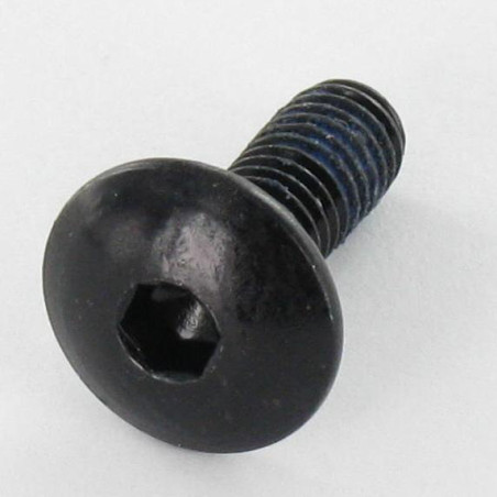 1 x Skrue kopskrue M6X16 Sekskantet fatning 4 sort galvaniseret Låsegevind
