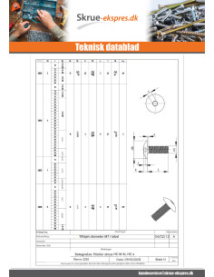 Skrue kopskrue M6X40 Sekskantet fatning 4 elforzinket... 2