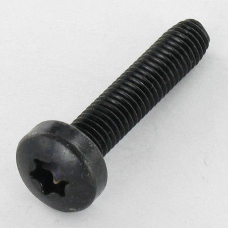 1 x Elvskærende skrue bred kuppelformet hoved M5X16 T25 sort galvaniseret