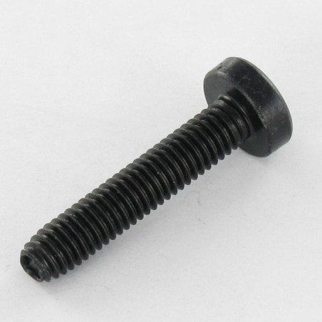 1 x Elvskærende skrue bred kuppelformet hoved M5X16 T25 sort galvaniseret