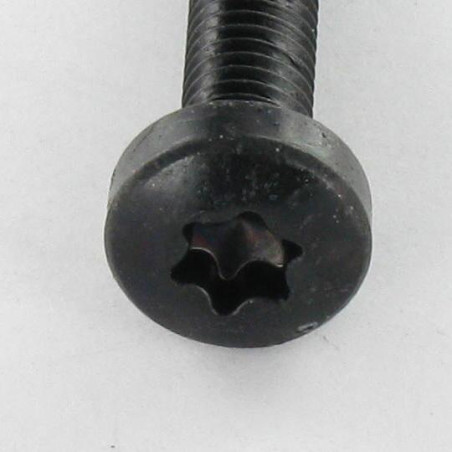 1 x Elvskærende skrue bred kuppelformet hoved M5X16 T25 sort galvaniseret