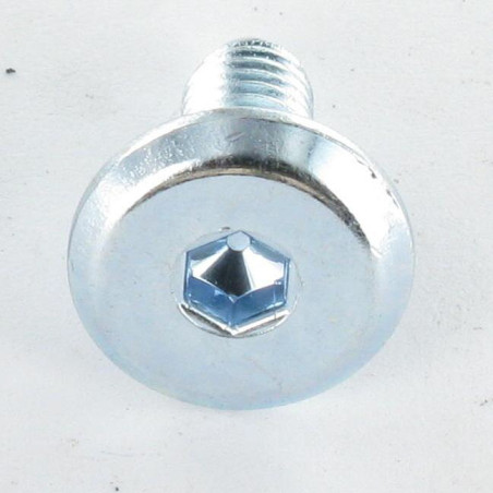1 x Vis m taux t te plade Sekskantet fatning 4 M6X60 Gevind 30 Hoveddiameter 12 elforzinket stål