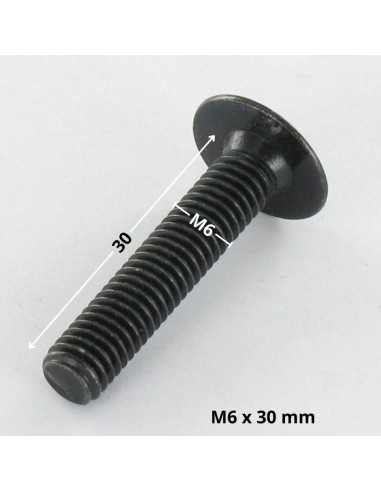1 x Skrue kopskrue M6X30 Sekskantet fatning 4...