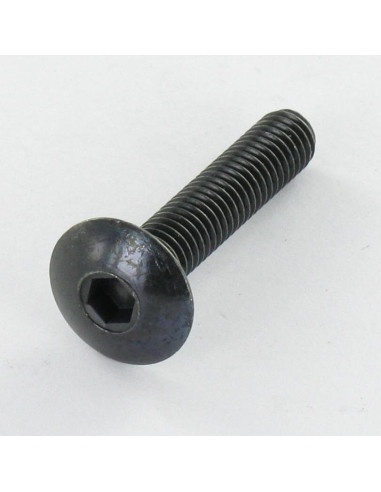 1 x Skrue kopskrue M6X14 Sekskantet fatning 4...