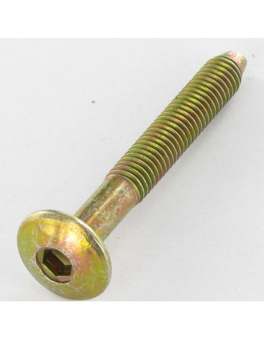 1 x Skrue kopskrue Sekskantet fatning M6X47...