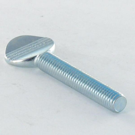 1 x Skrue VIOLIN M6X20 elforzinket stål