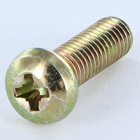1 x Vis m-hastighed panhoved Pozi PZ9 M6X38 Pozi PZ8 200 timers saltspray gul zink
